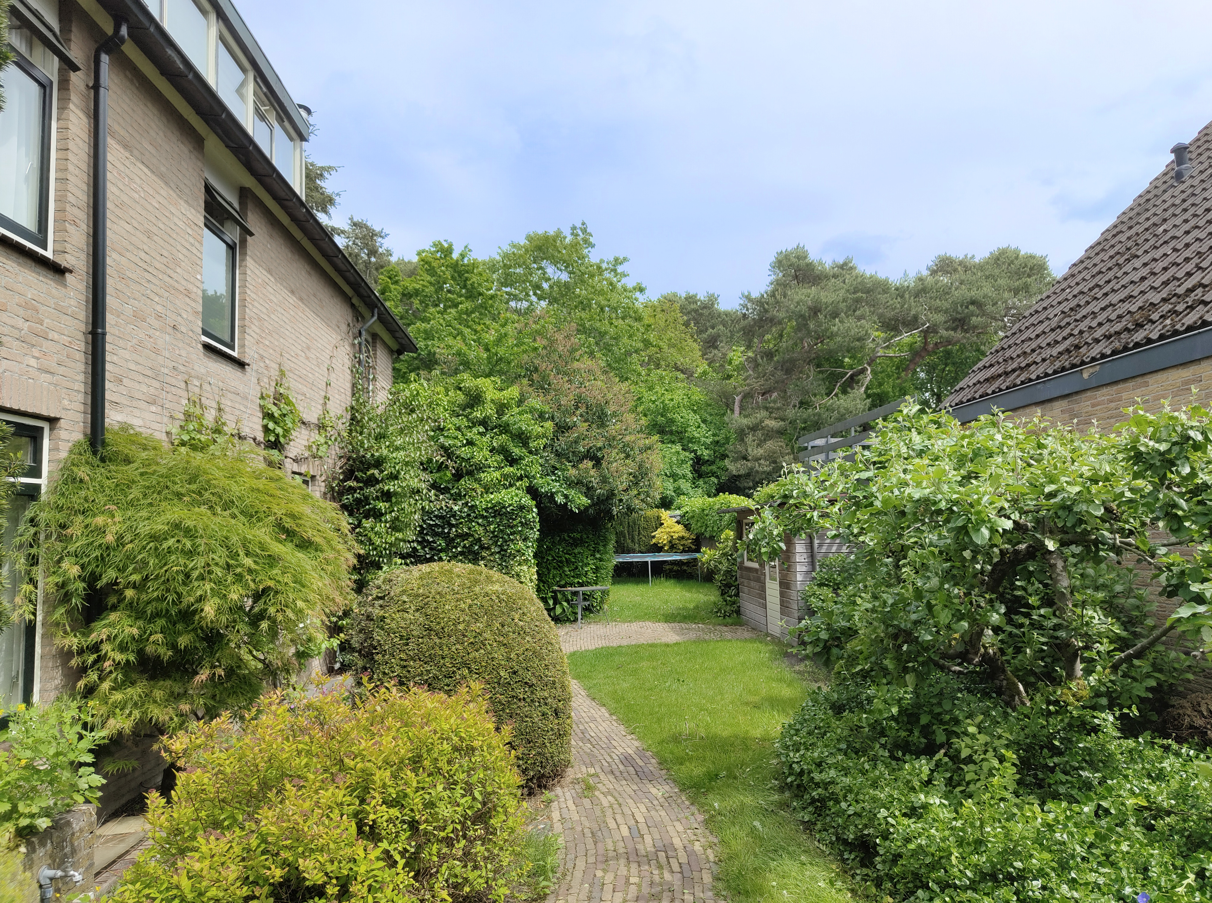 Tuin 6