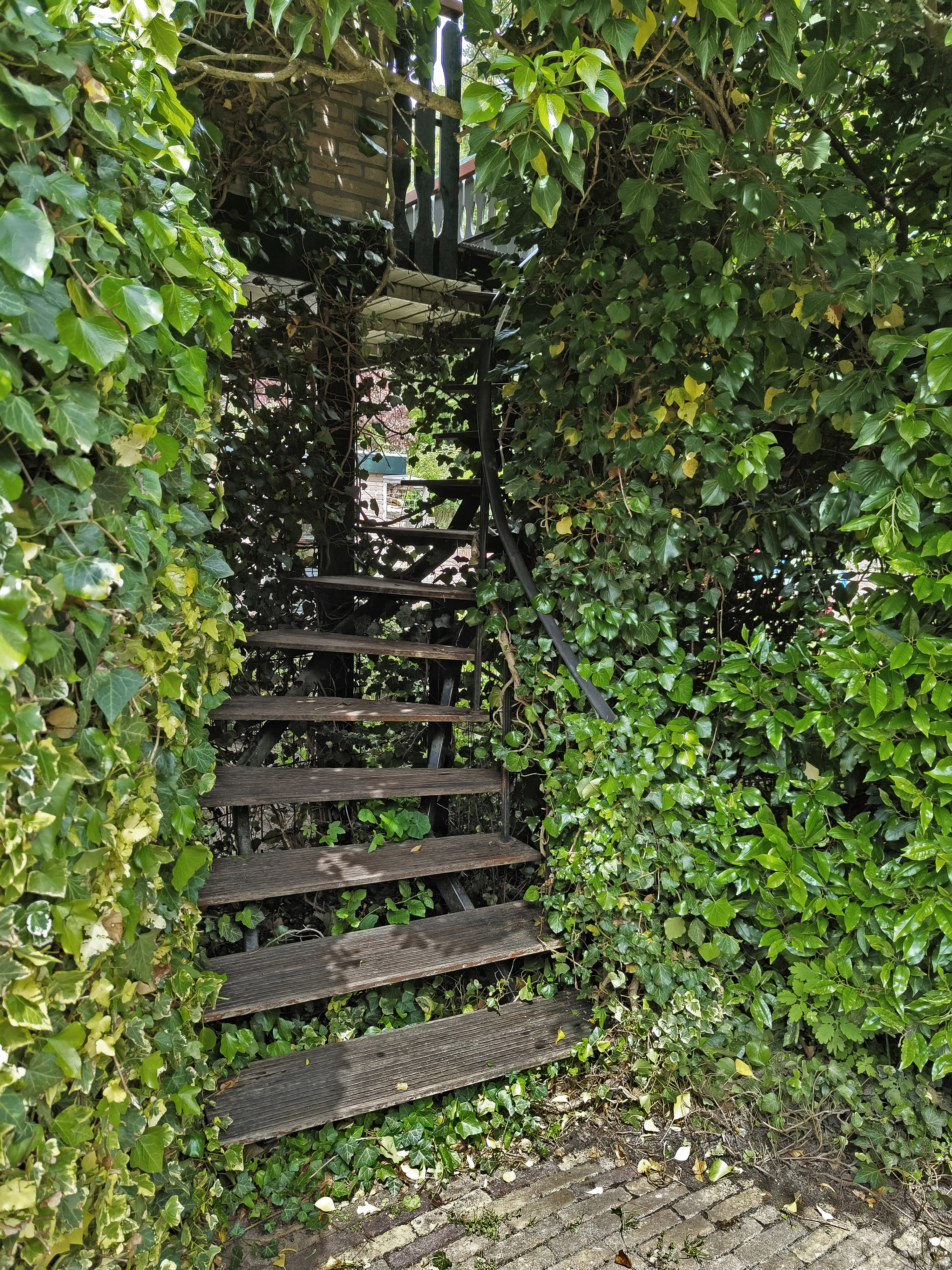 Tuin 7